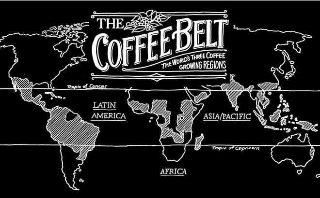 The Coffee Belt